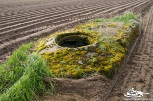 Read more about the article Schron Ringstand 58c – ZA 05