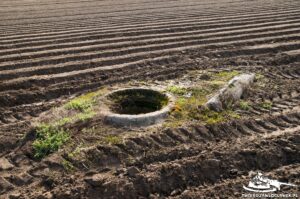 Read more about the article Schron Ringstand 58c – ZA 06