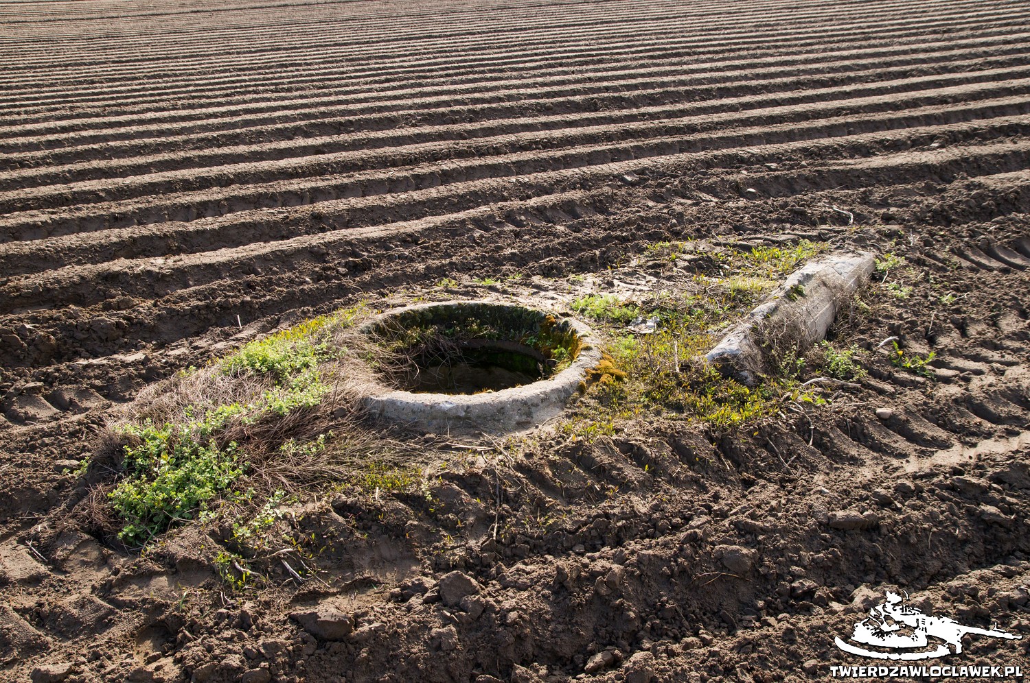 Read more about the article Schron Ringstand 58c – ZA 06