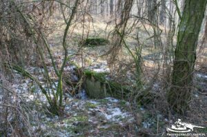 Read more about the article Schron Ringstand 58c – GJ 17