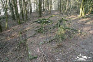 Read more about the article Schron Ringstand 58c – GJ 10