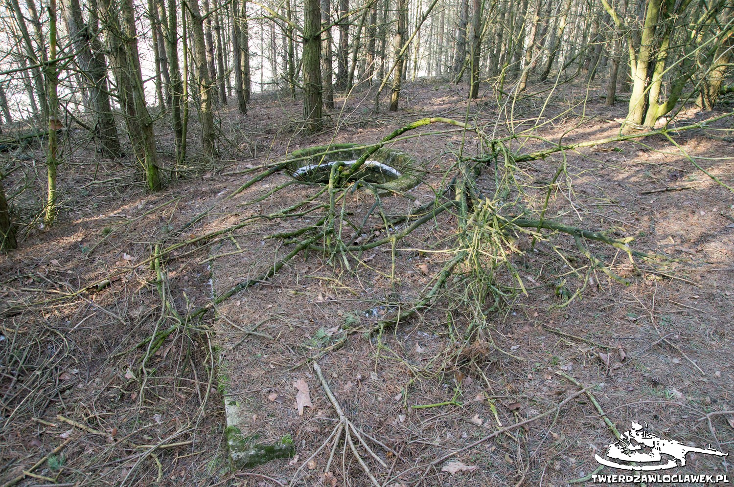 Read more about the article Schron Ringstand 58c – GJ 10