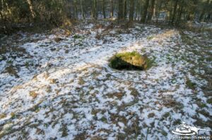 Read more about the article Schron Ringstand 58c – GJ 12