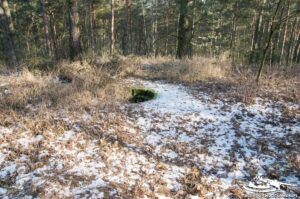 Read more about the article Schron Ringstand 58c – GJ 14