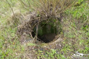 Read more about the article Schron Ringstand 58c – CH 01