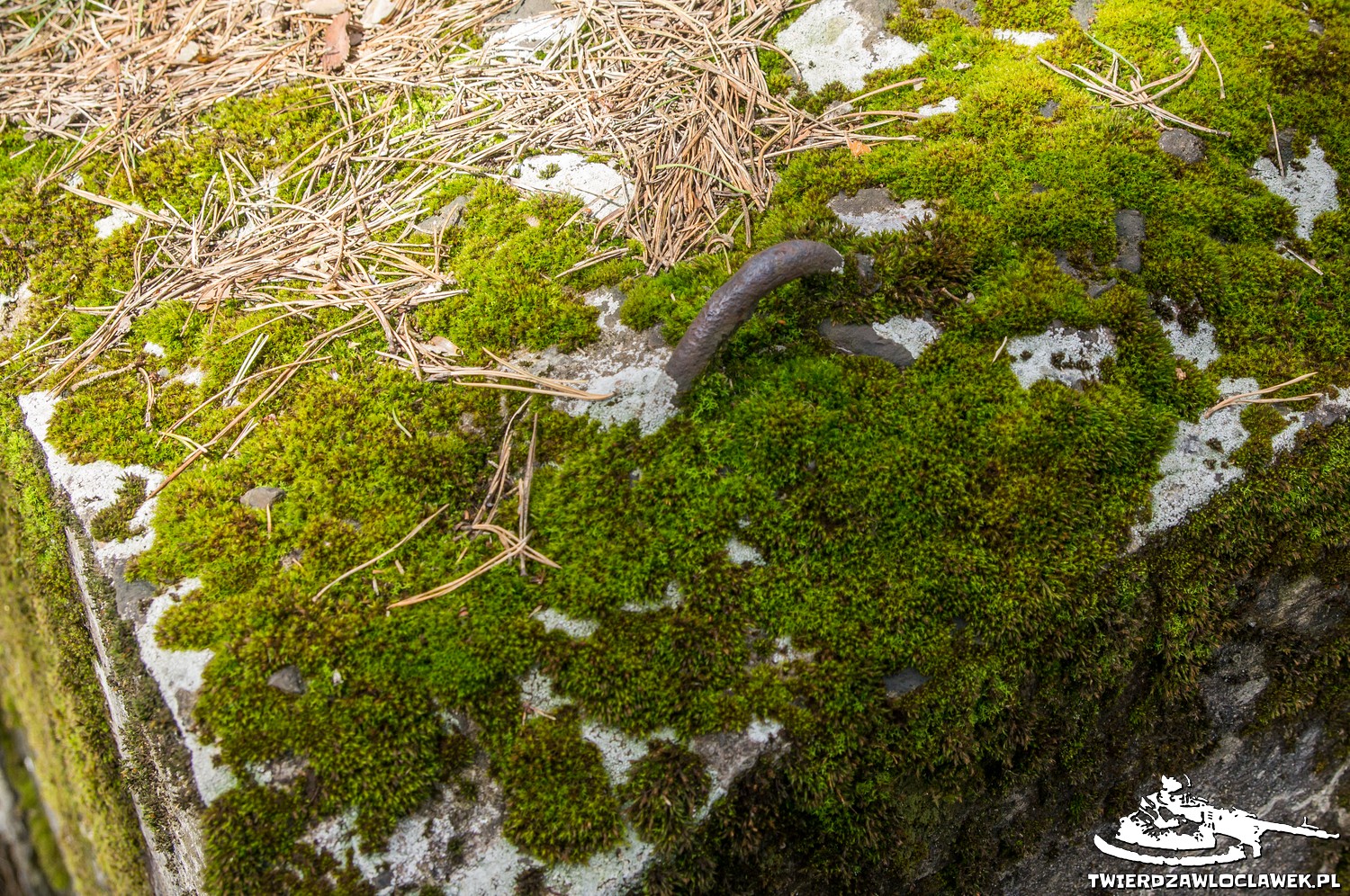 Schron Ringstand 58c – C 06