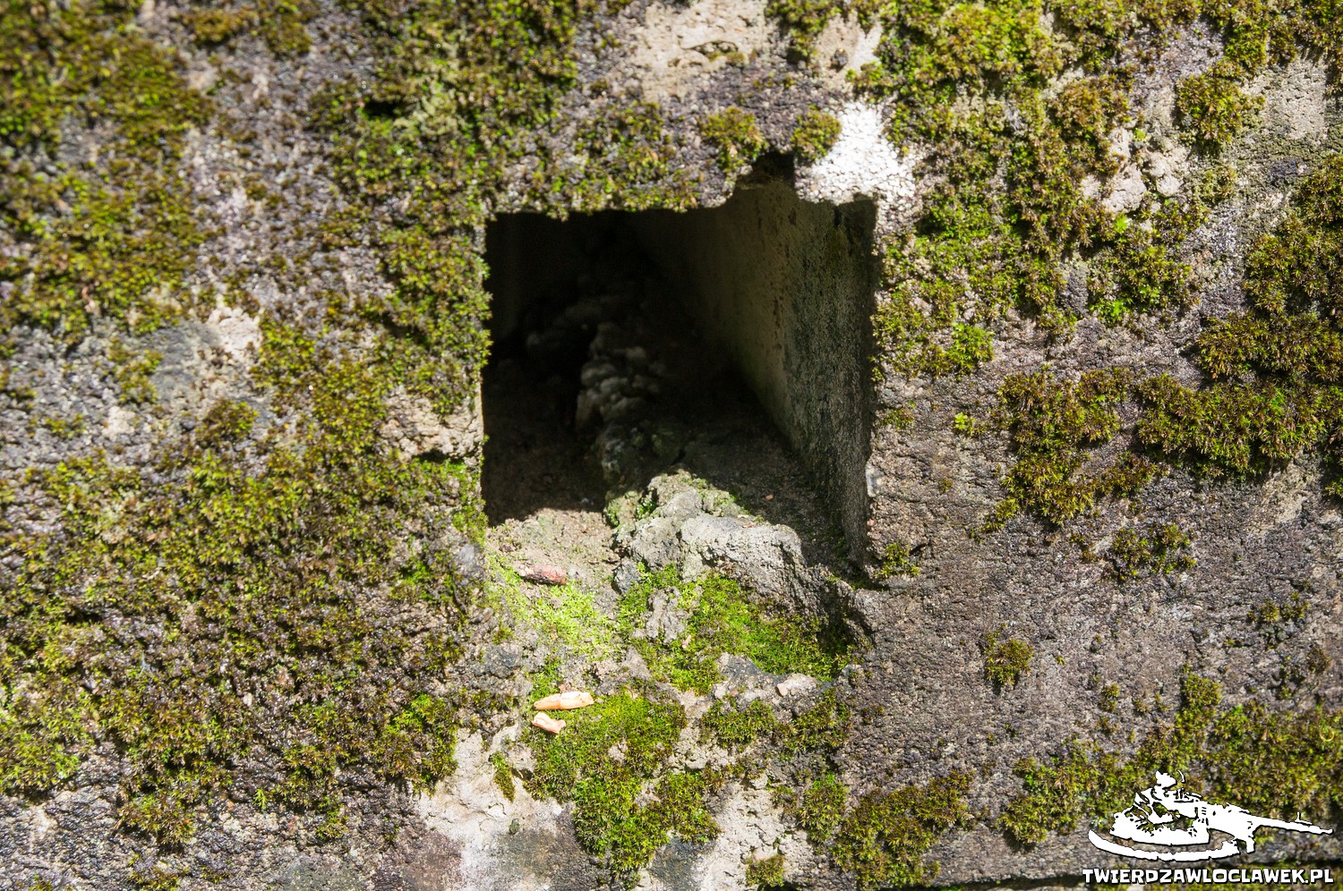 Schron Ringstand 58c – C 06