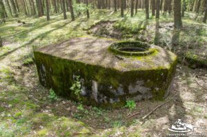 Read more about the article Schron Ringstand 58c – C 06