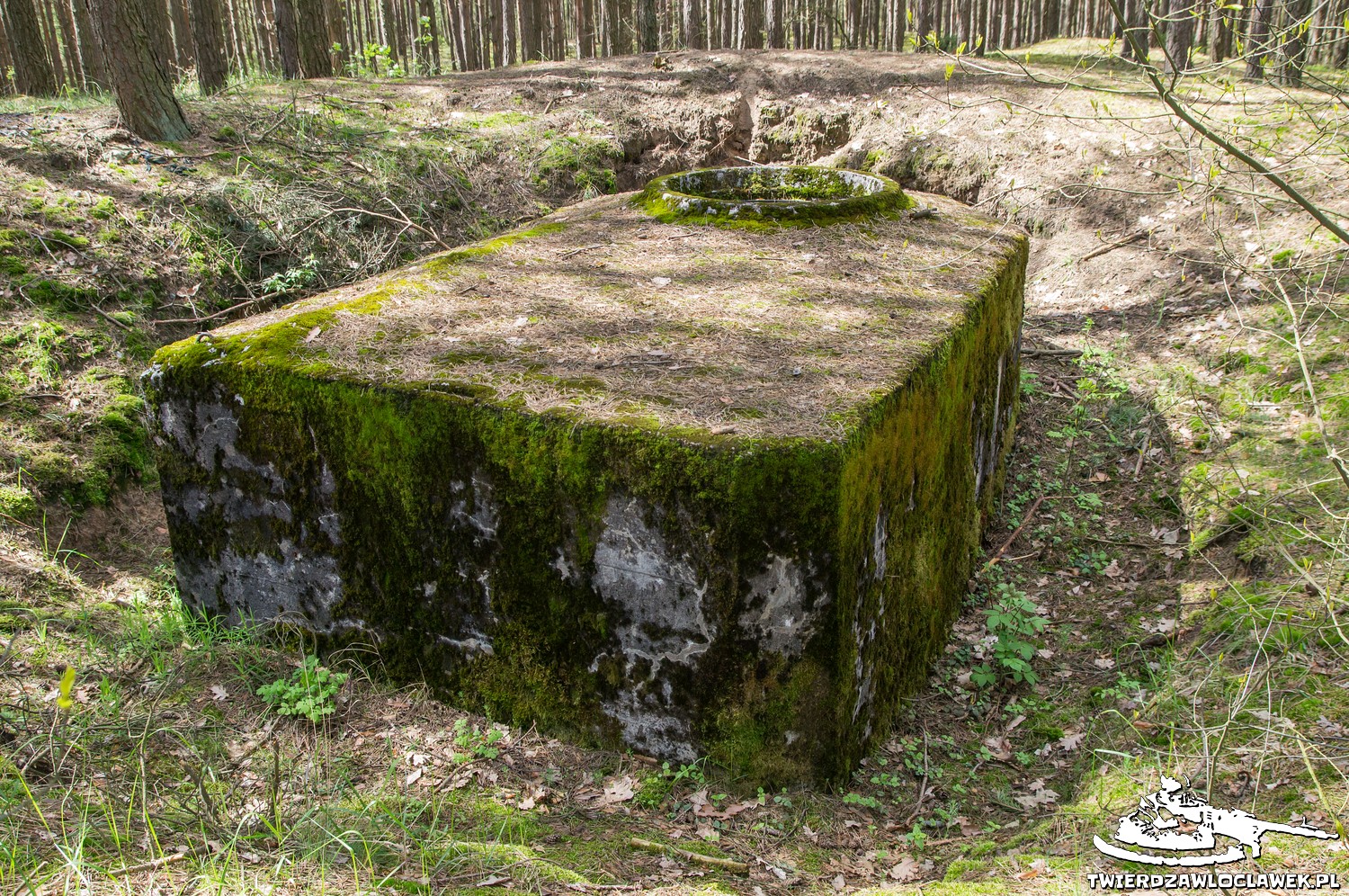 Schron Ringstand 58c – C 06