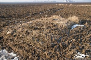 Read more about the article Schron Ringstand 58c – SZ 01