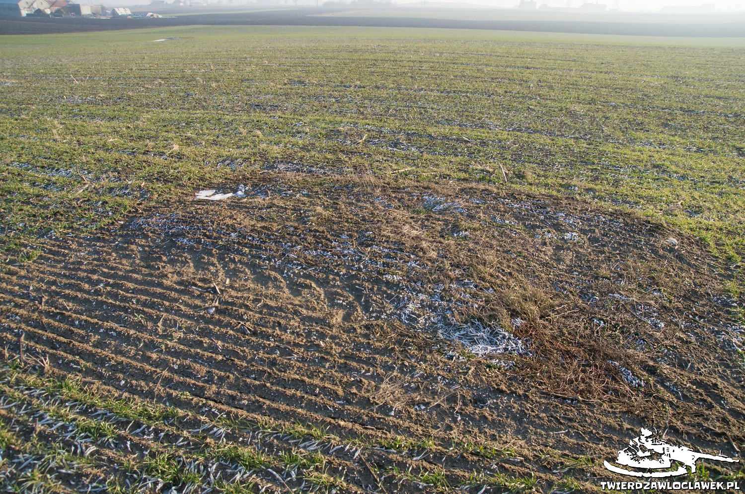 Read more about the article Schron Ringstand 58c – SZ 03