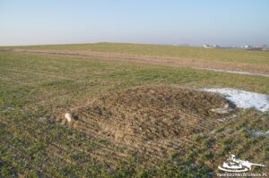 Read more about the article Schron Ringstand 58c – SZ 04