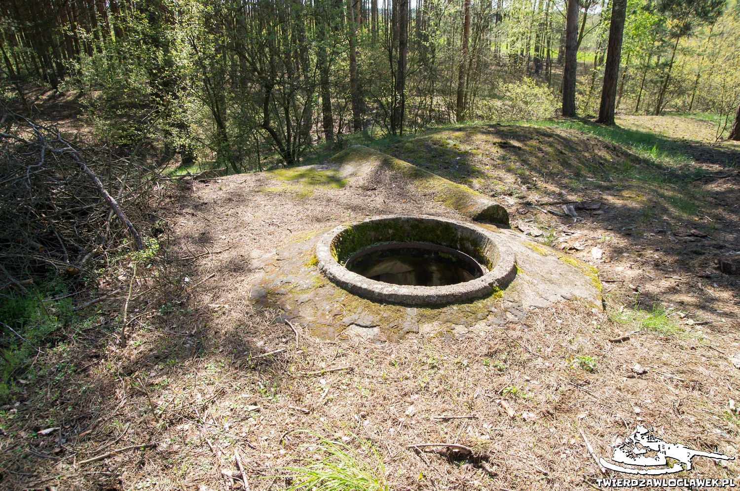 You are currently viewing Schron Ringstand 58c – M 12