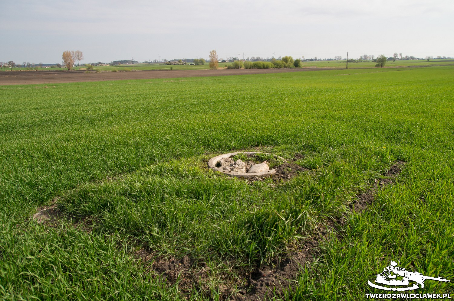 You are currently viewing Schron Ringstand 58c – NI 01