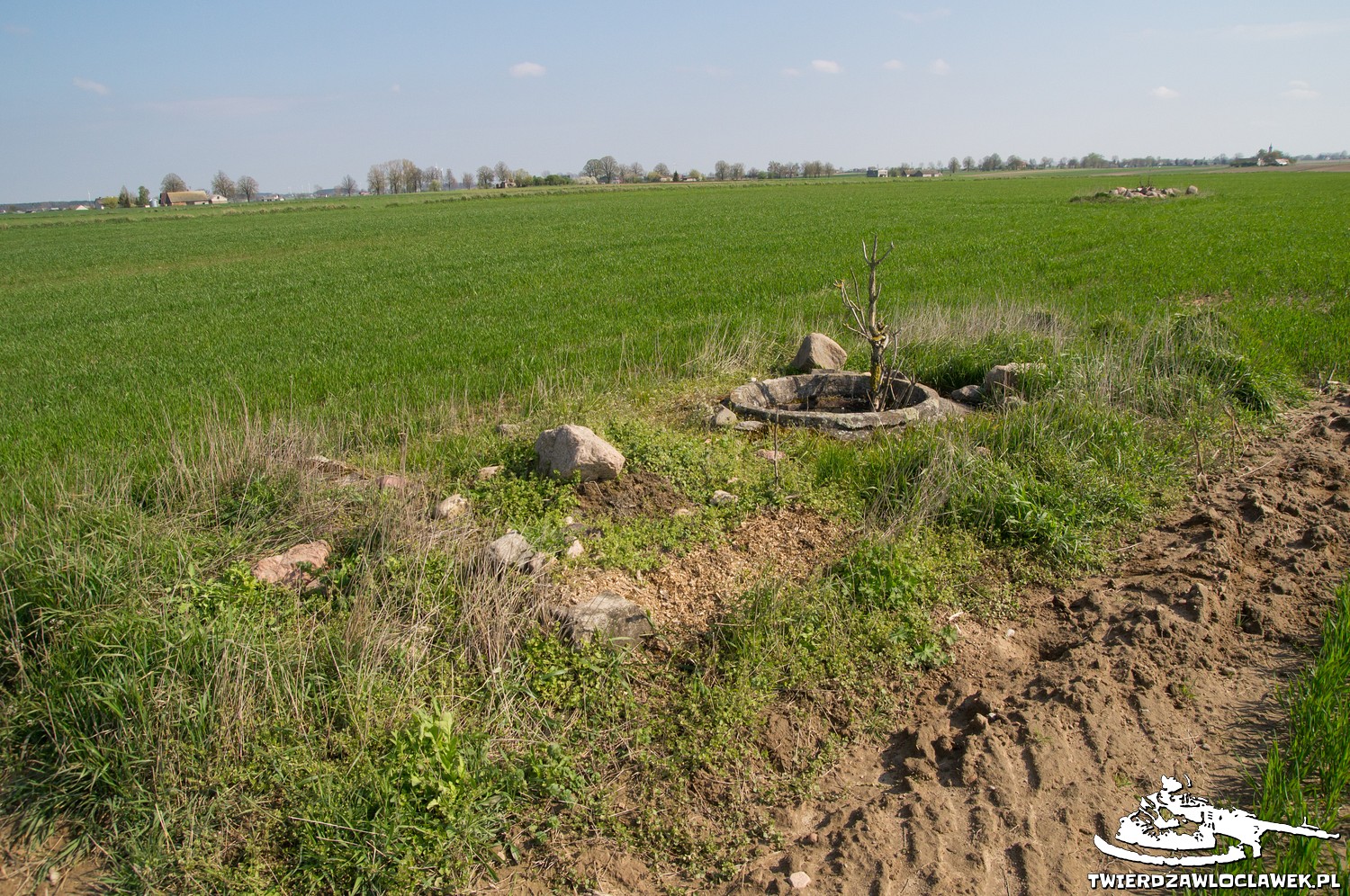 Read more about the article Schron Ringstand 58c – SE 13