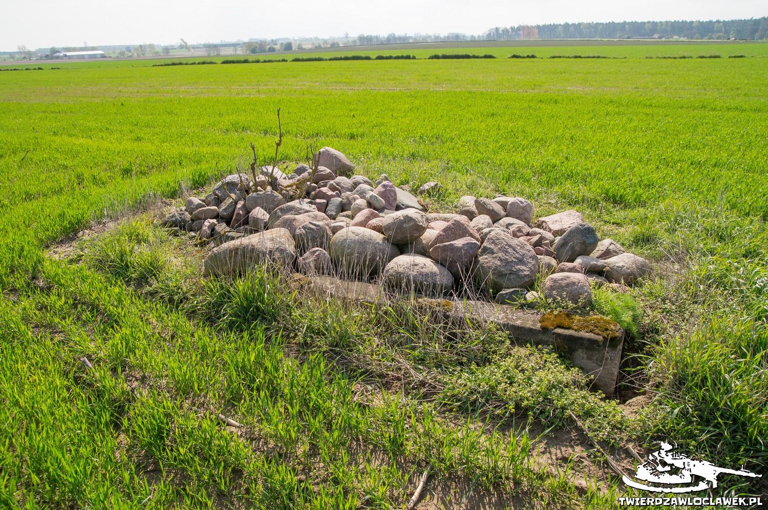 Read more about the article Schron Ringstand 58c – SE 12