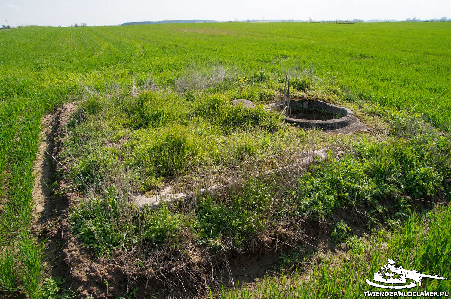 Read more about the article Schron Ringstand 58c – SE 11