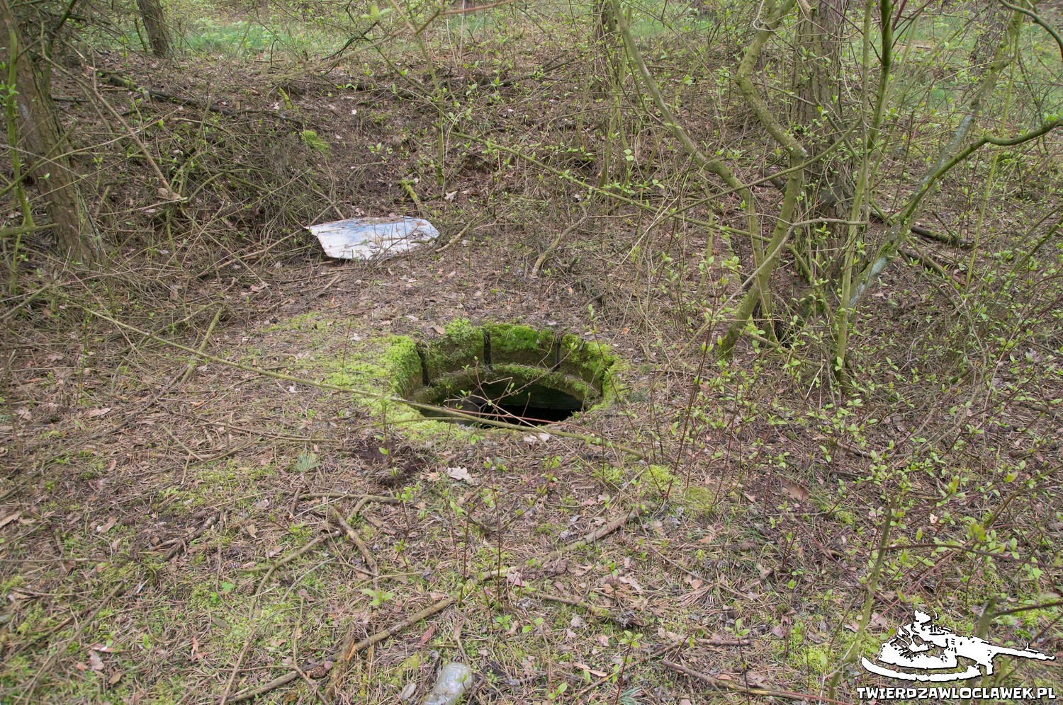 Read more about the article Schron Ringstand 58c – GJ 23