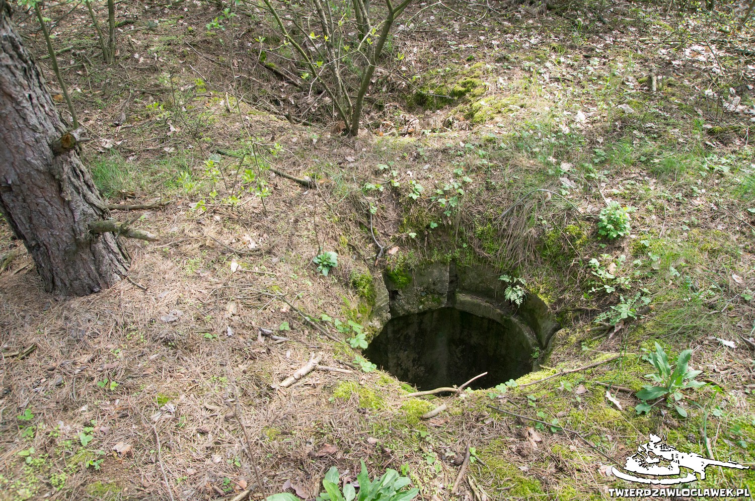 Read more about the article Schron Ringstand 58c – GJ 22