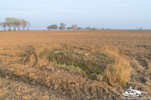 Read more about the article Schron Ringstand 58c – GU X2