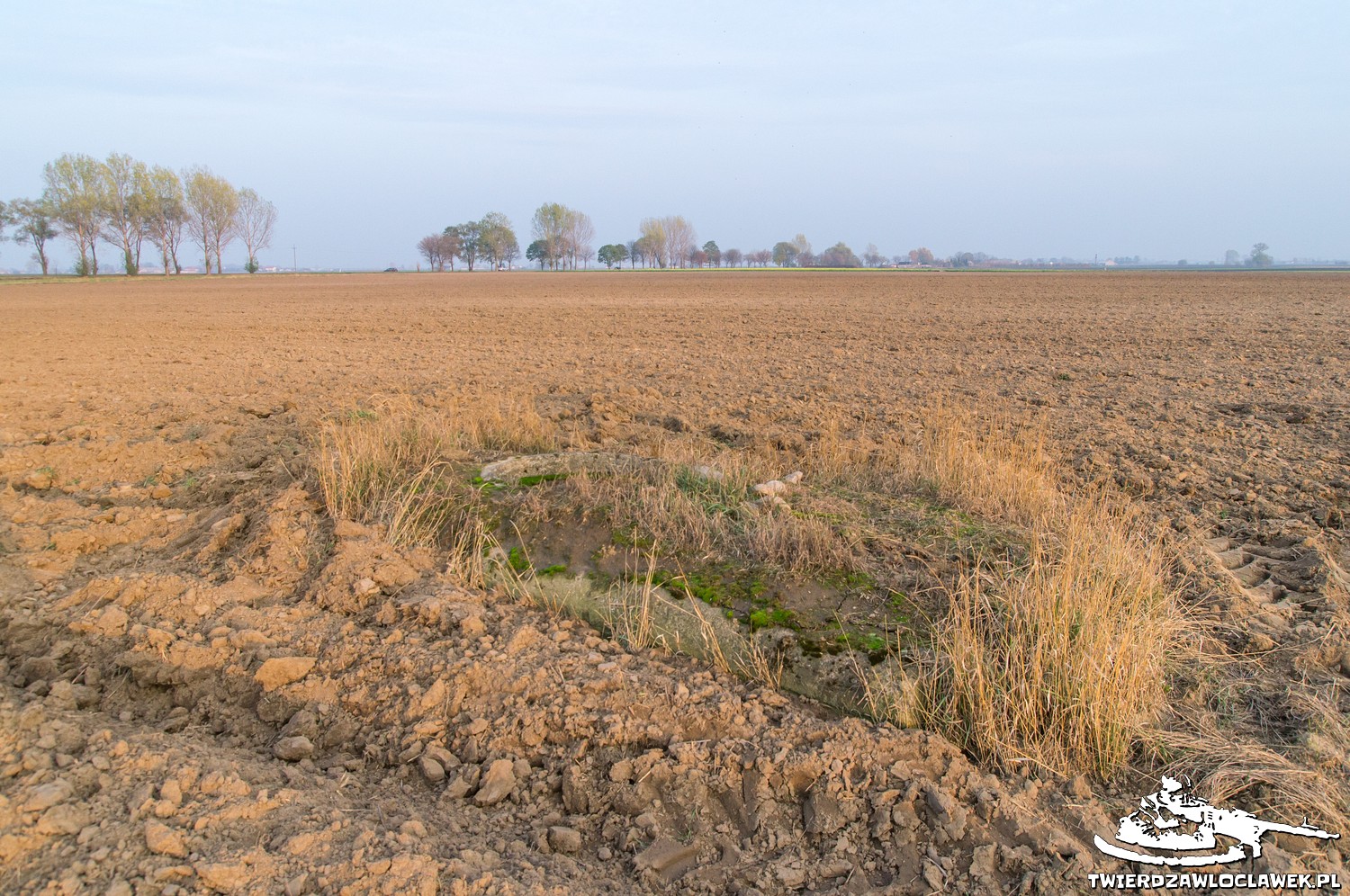 You are currently viewing Schron Ringstand 58c – GU X2