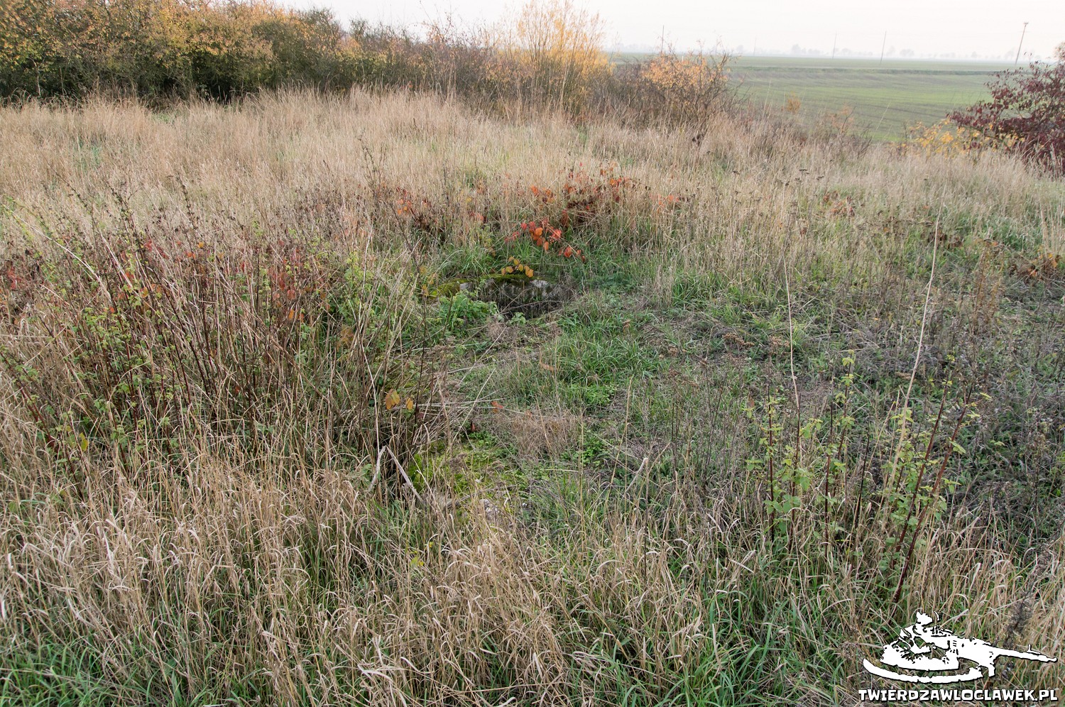 Read more about the article Schron Ringstand 58c – S 02