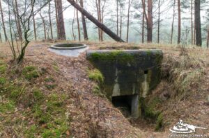 Read more about the article Schron Ringstand 58c – PG 06