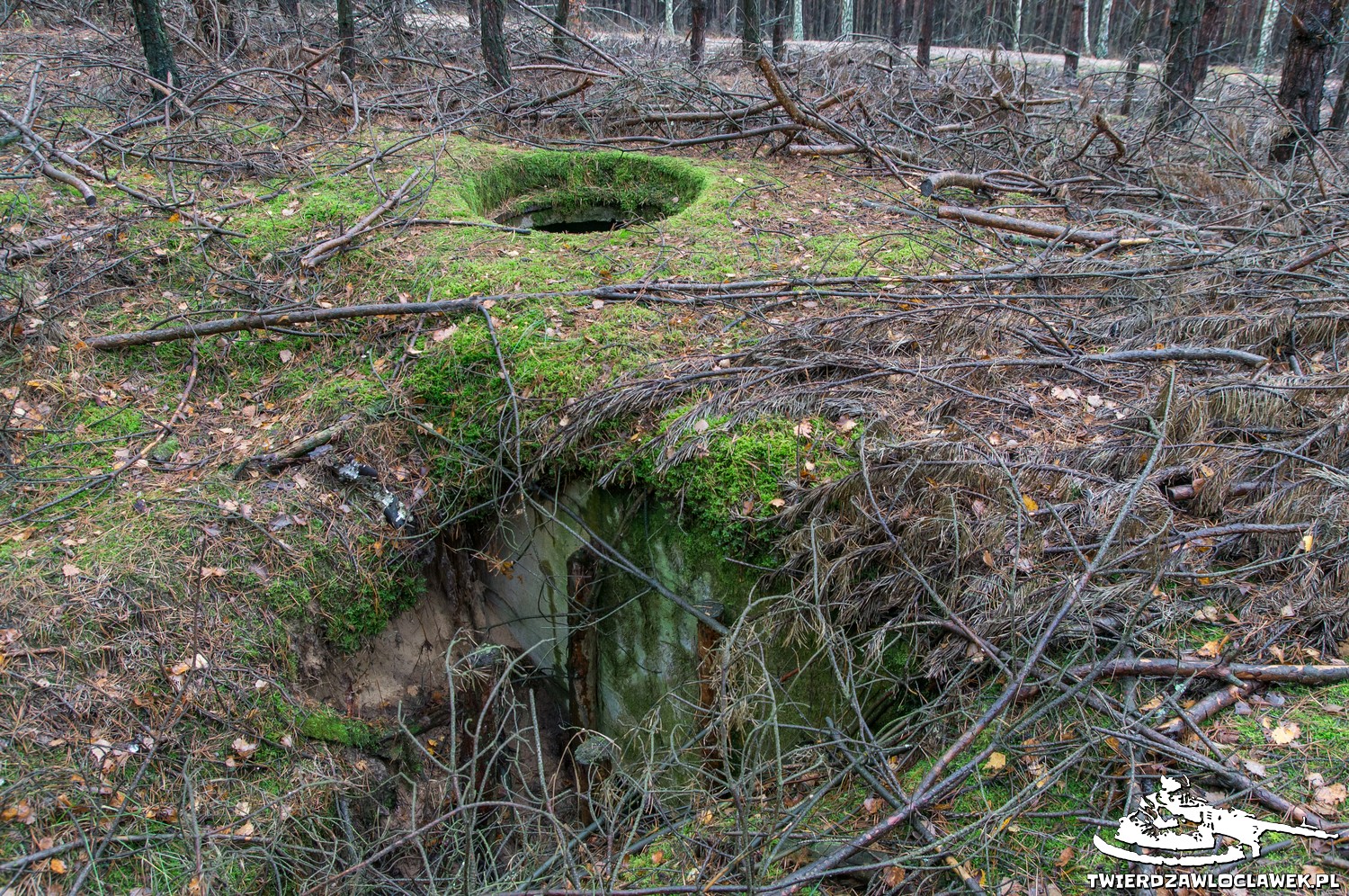 Read more about the article Schron Ringstand 58c – PG 03