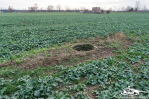 Read more about the article Schron Ringstand 58c – WX 01