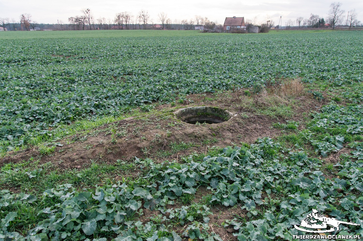 Read more about the article Schron Ringstand 58c – WX 01