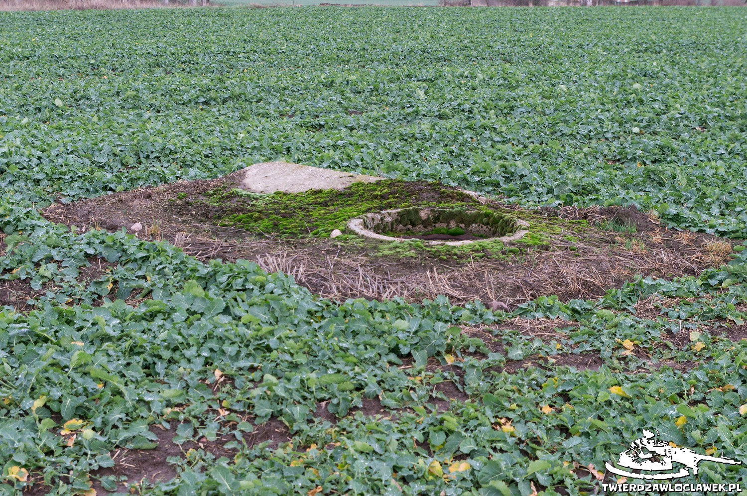 Read more about the article Schron Ringstand 58c – WK 01