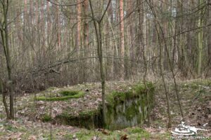 Read more about the article Schron Ringstand 58c – NW 06