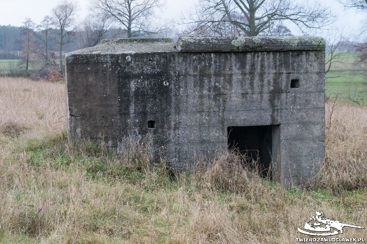 Read more about the article Schron Ringstand 58c – WK 04