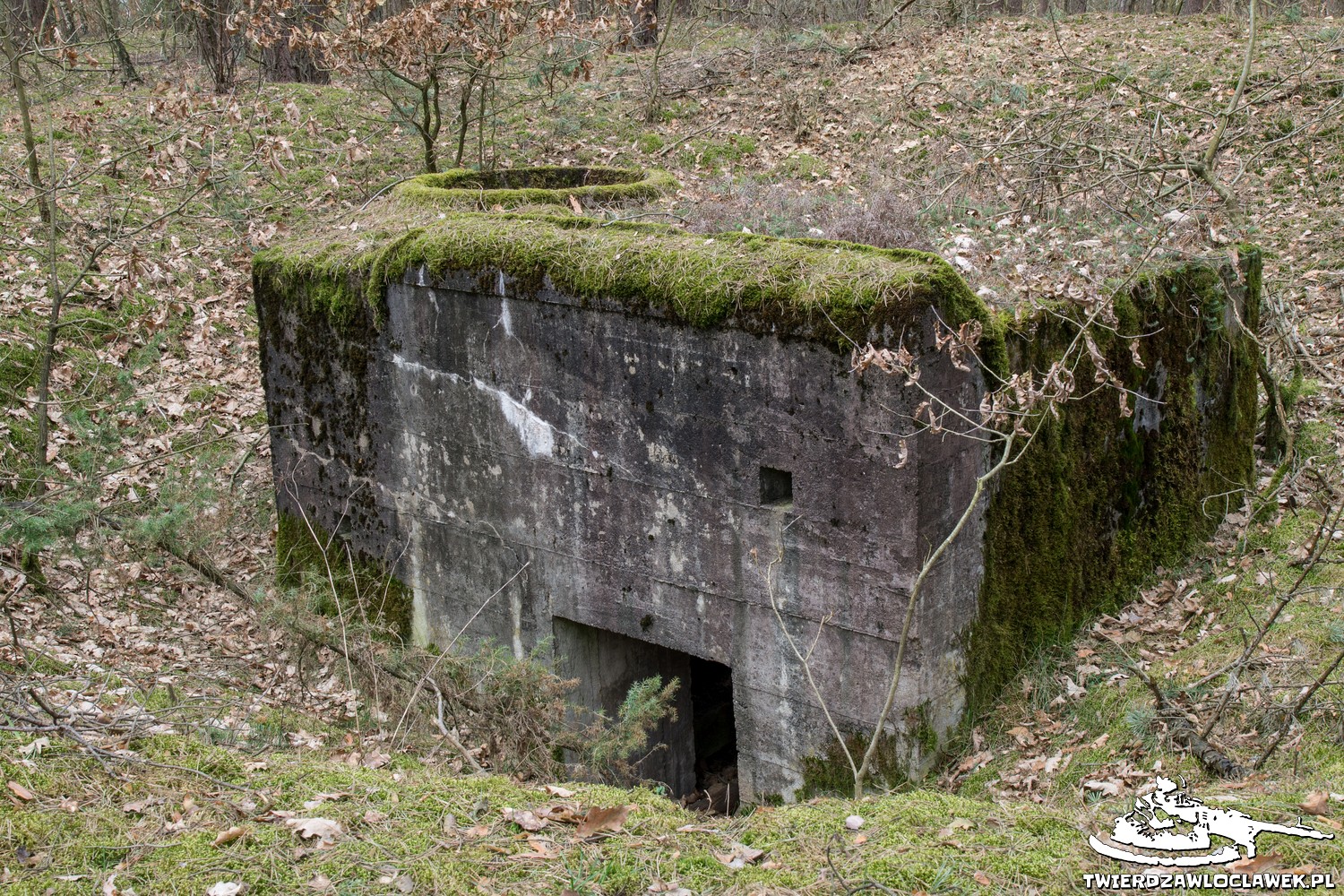 You are currently viewing Schron Ringstand 58c – NW 02