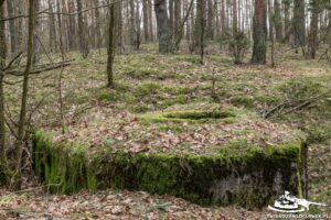 Read more about the article Schron Ringstand 58c – NW 01