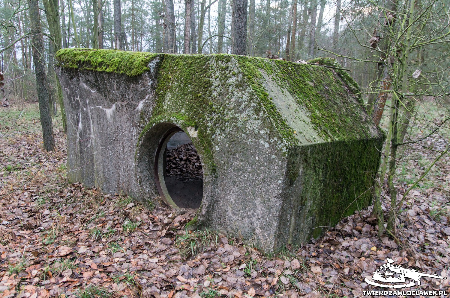 Read more about the article Schron Ringstand 58c – WK 03