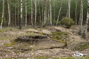 Read more about the article Schron Ringstand 58c – NW 10