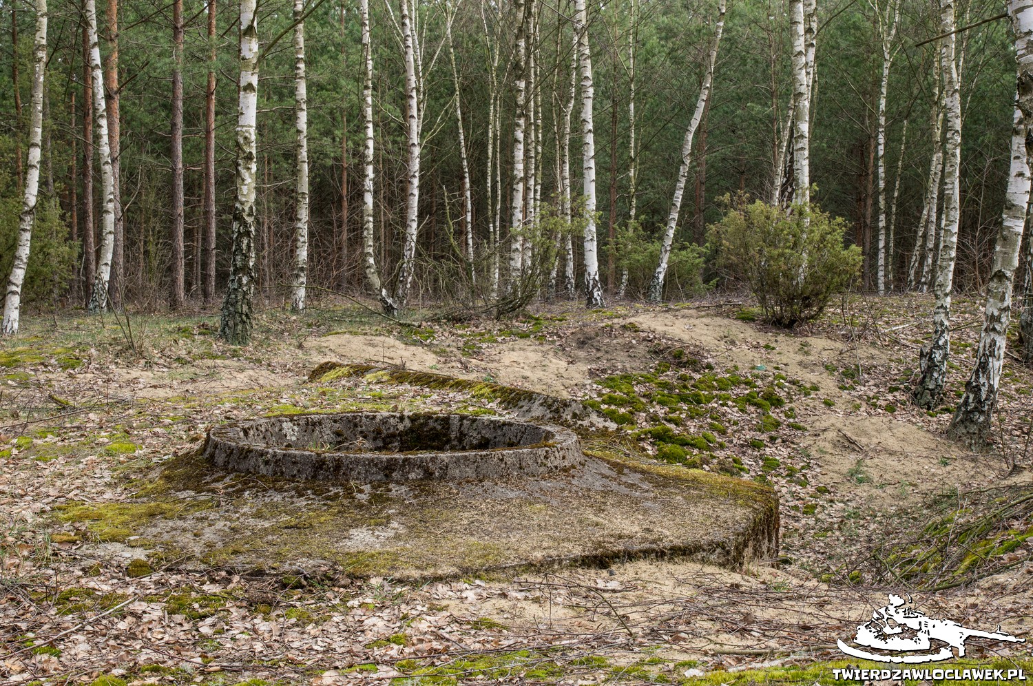 You are currently viewing Schron Ringstand 58c – NW 10