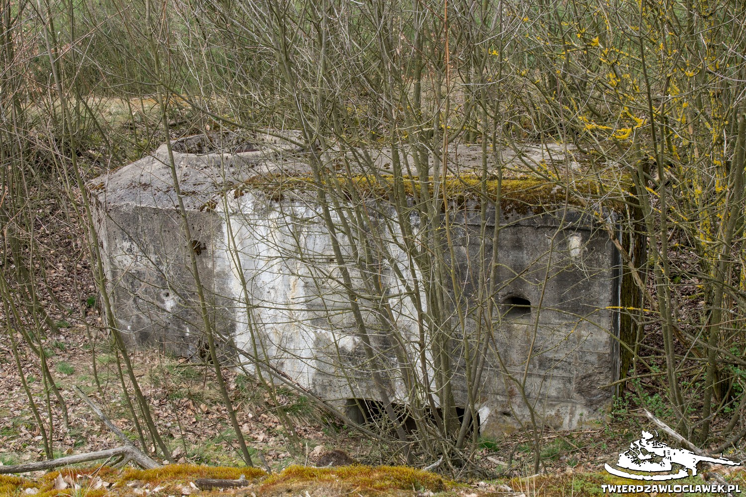 Read more about the article Schron Ringstand 58c – WF 01