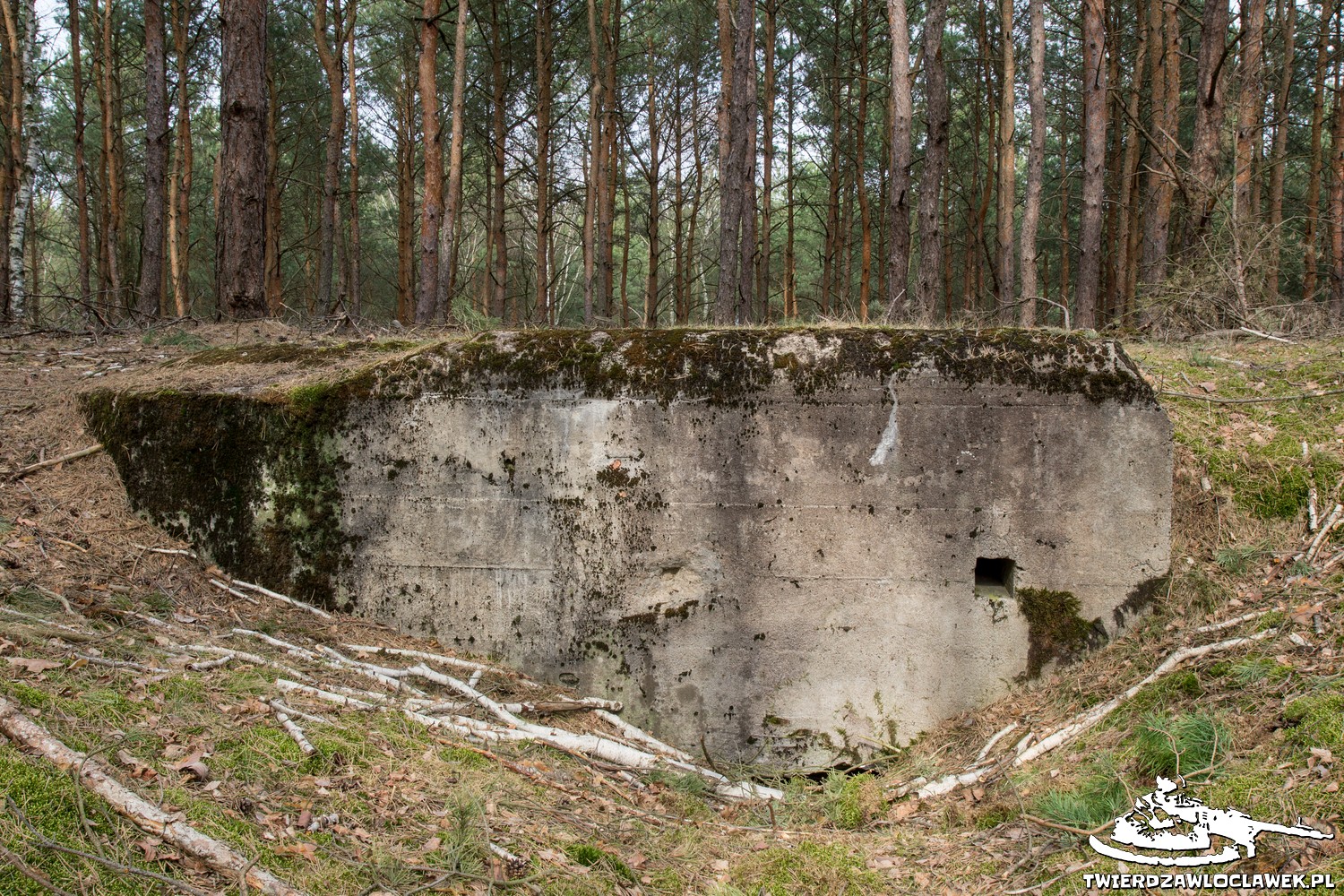 Read more about the article Schron Ringstand 58c – SW 01