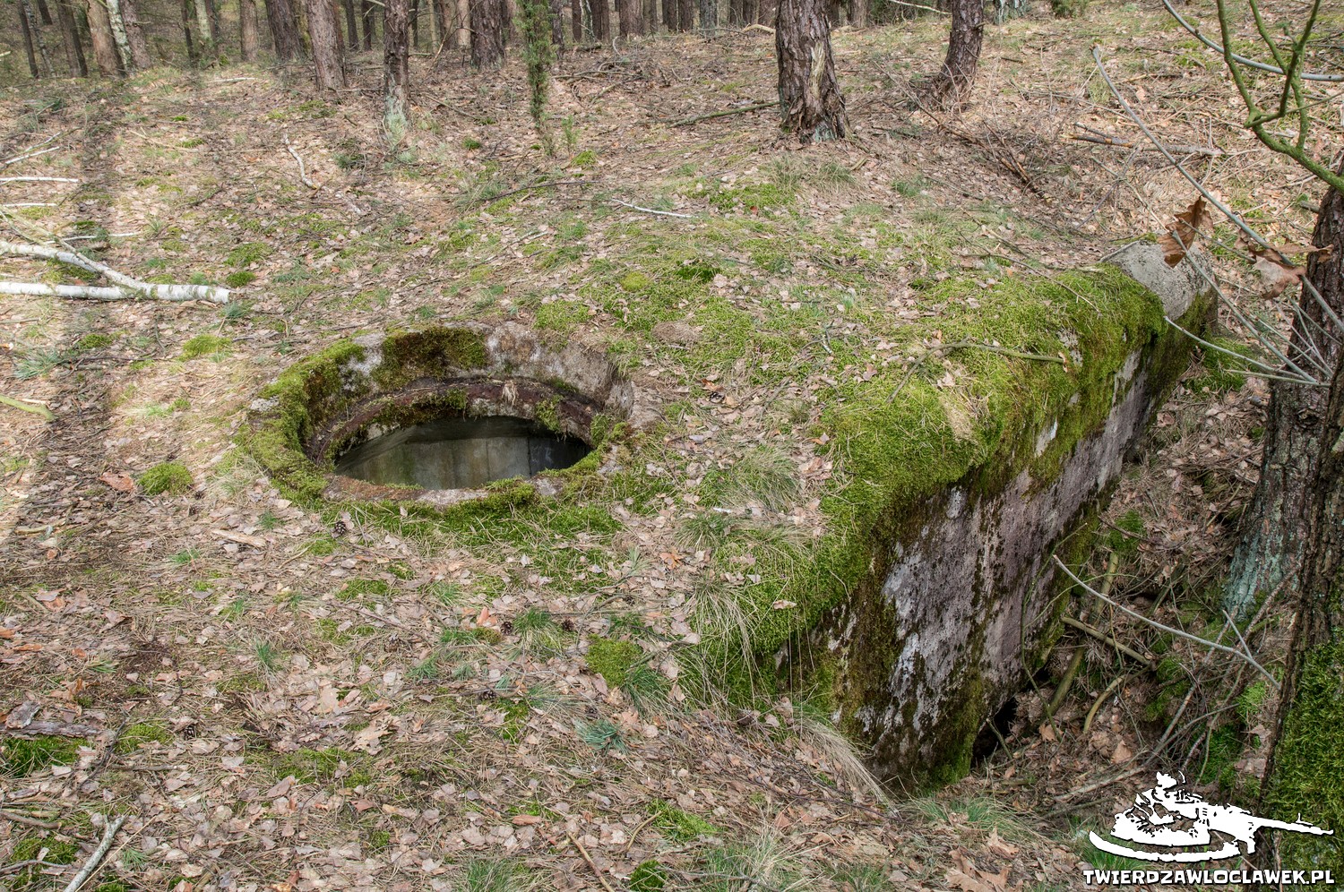 You are currently viewing Schron Ringstand 58c – SW 03