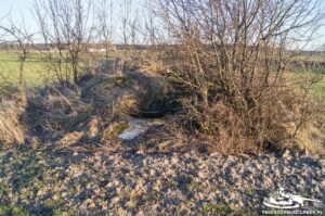 Read more about the article Schron Ringstand 58c – ST 01