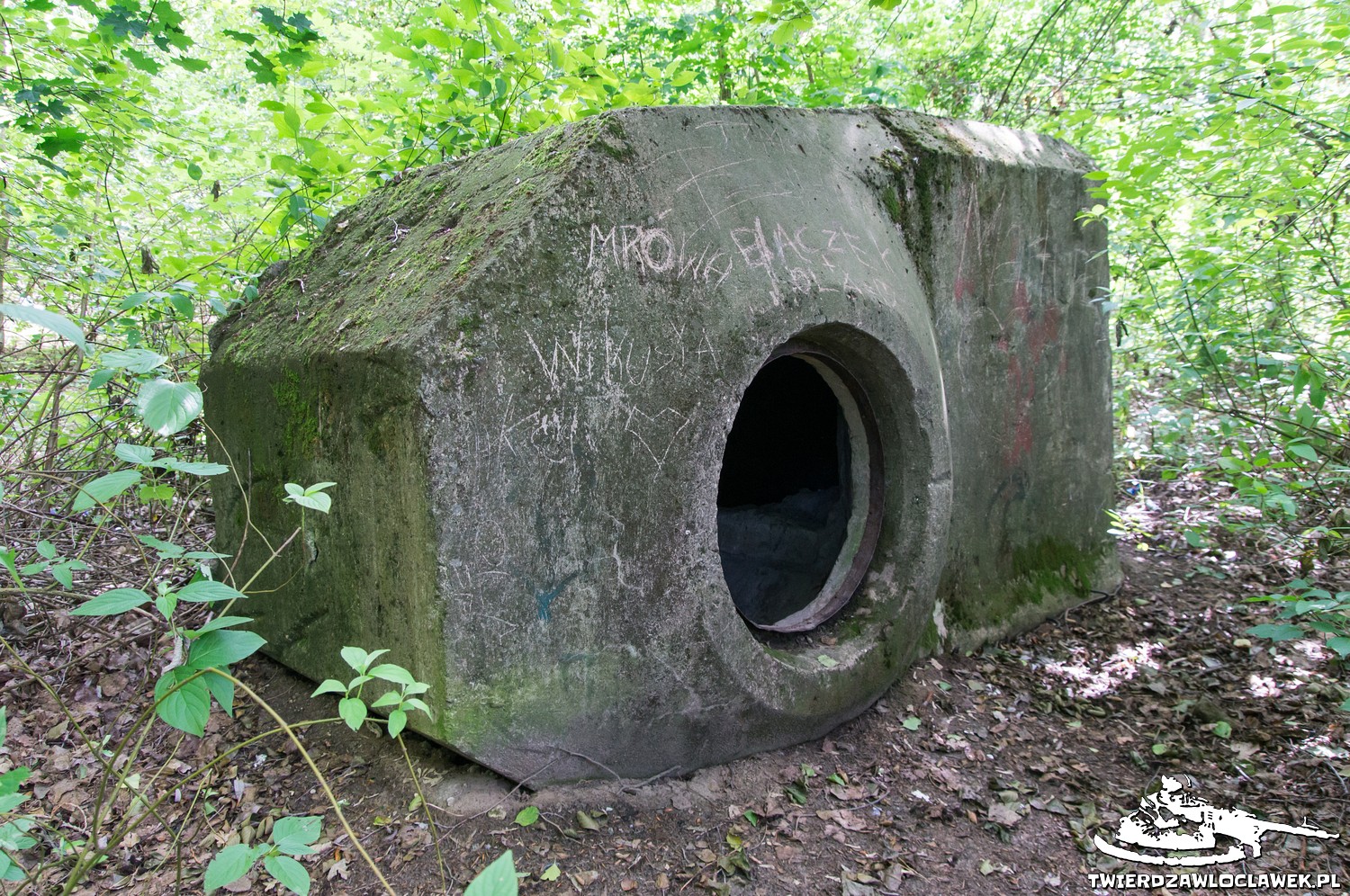 Read more about the article Schron Ringstand 58c – RA 07