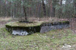 Read more about the article Schron Ringstand 58c – NW 07