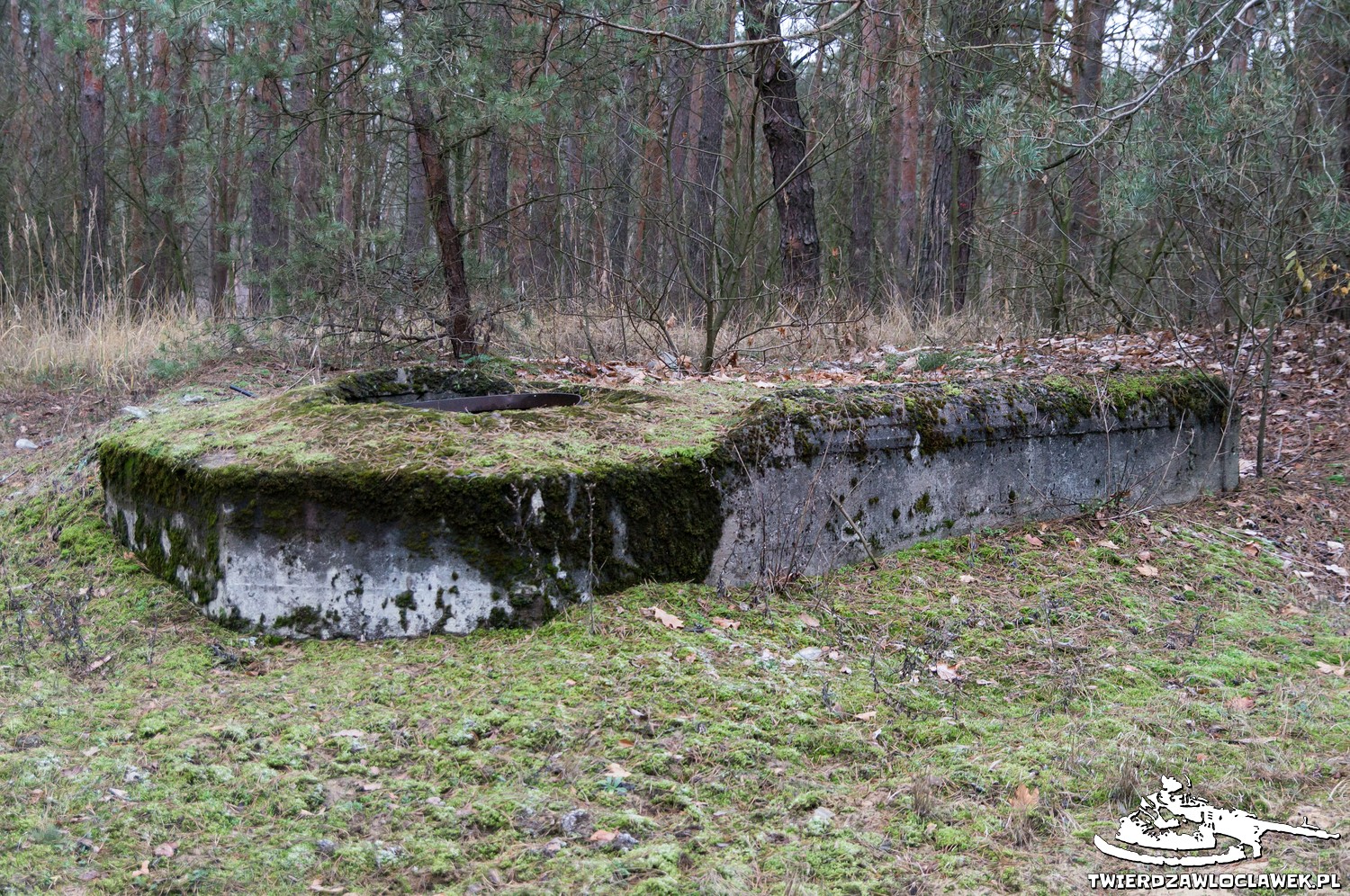 Read more about the article Schron Ringstand 58c – NW 07