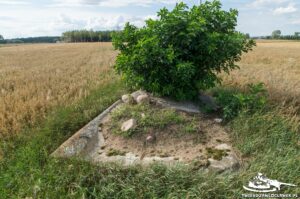 Read more about the article Schron Ringstand 58c – OP 06