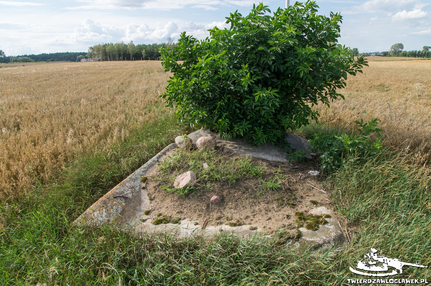 Read more about the article Schron Ringstand 58c – OP 06