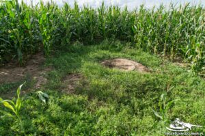 Read more about the article Schron Ringstand 58c – OP 03