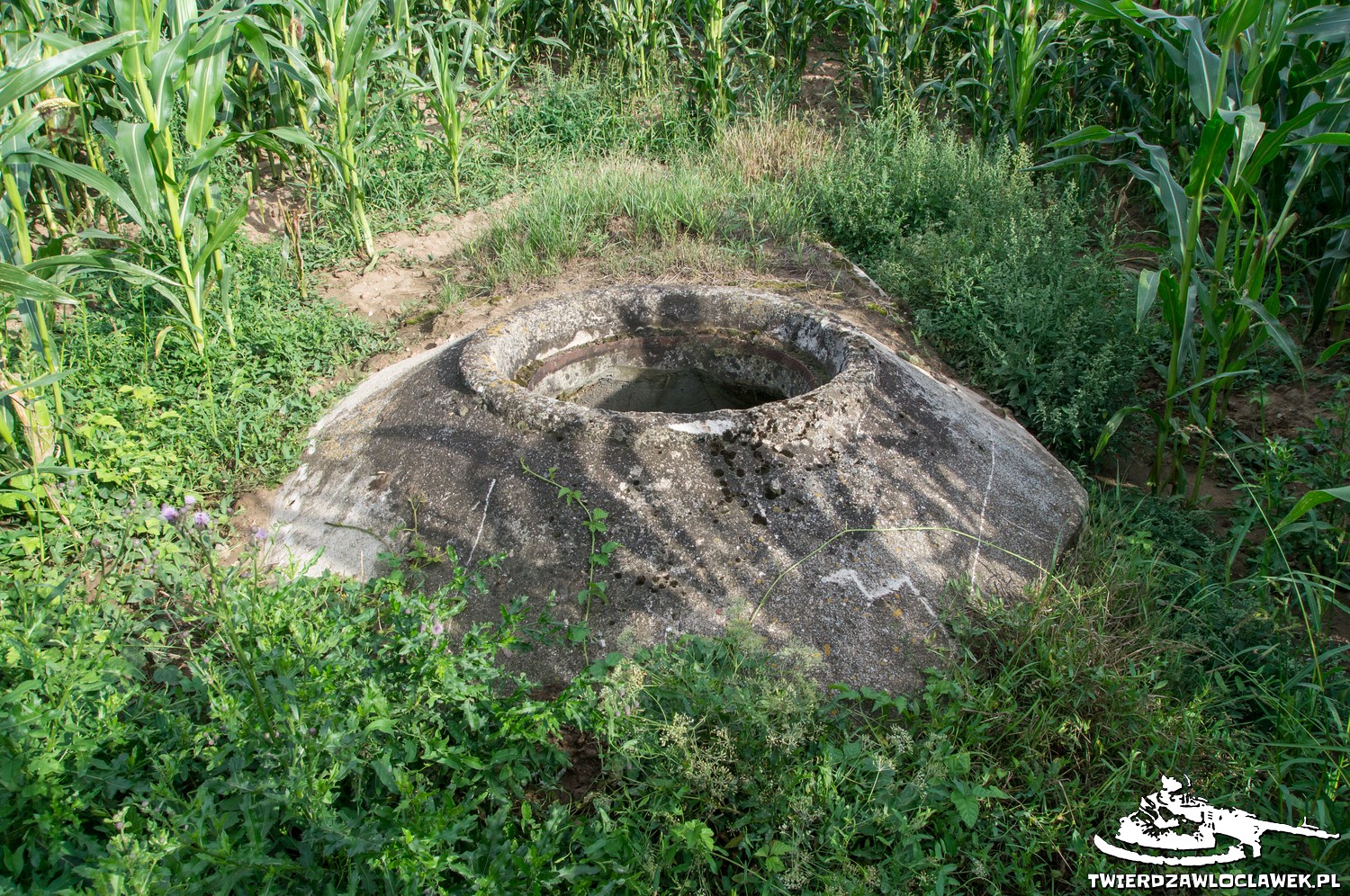 Read more about the article Schron Ringstand 58c – OP 01