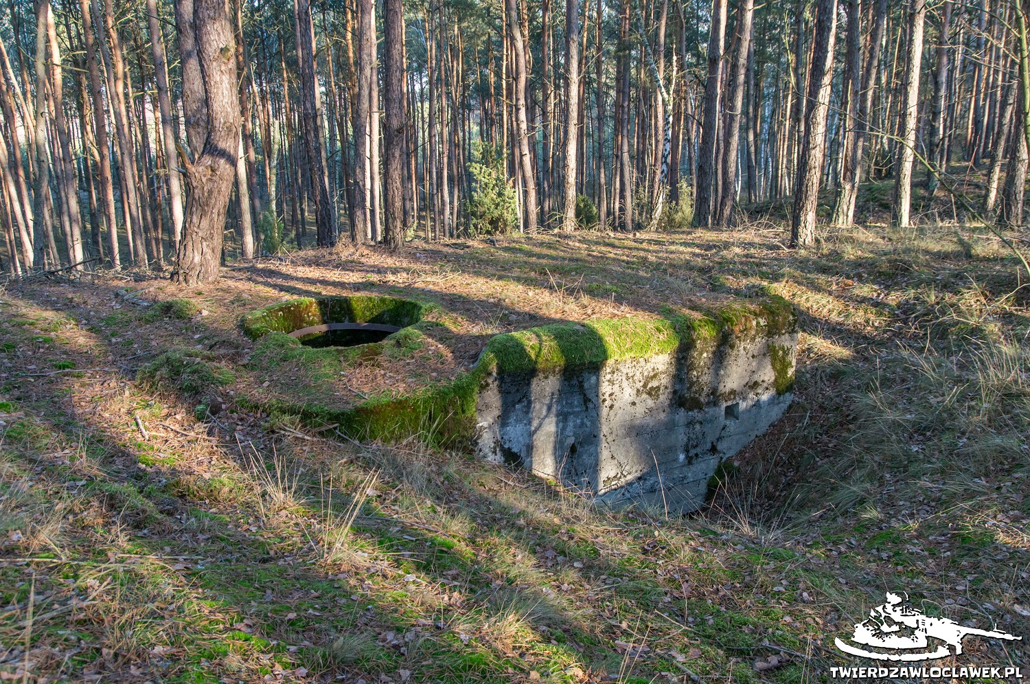 Schron Ringstand 58c – Stary Witoszyn